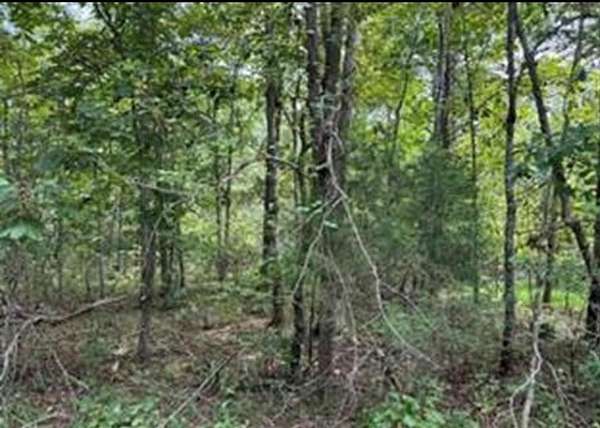 0.26 Acres of Land for Sale in Crossville, Tennessee