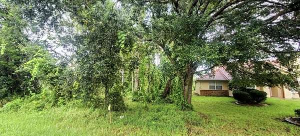 0.23 Acres of Residential Land for Sale in Palm Coast, Florida