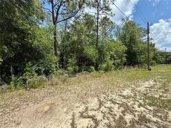 0.45 Acres of Land for Sale in Citrus Springs, Florida