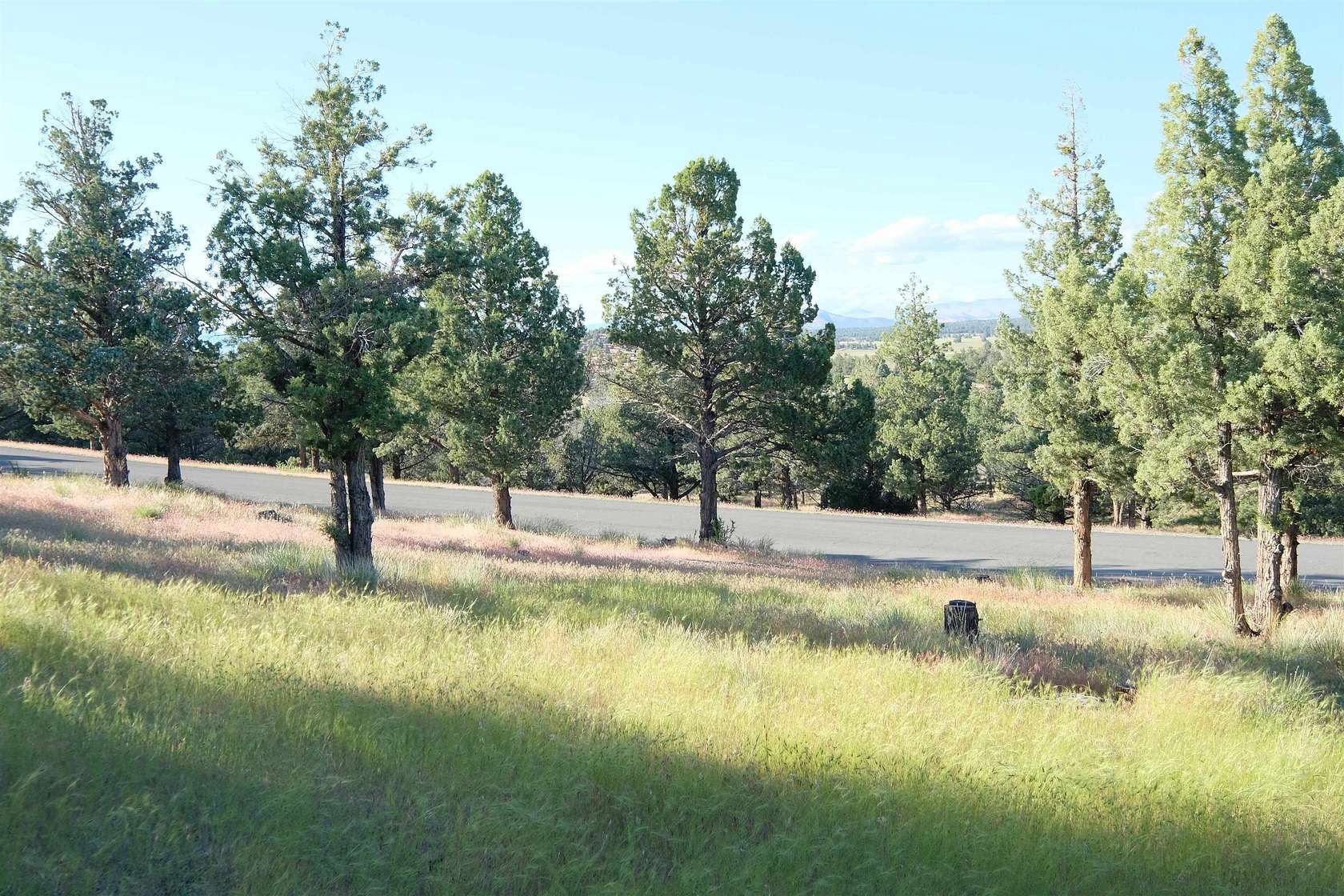 0.28 Acres of Residential Land for Sale in Weed, California