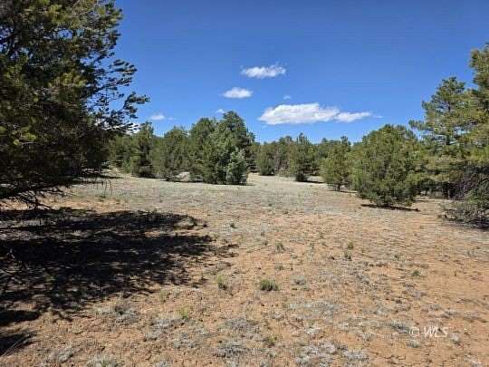 4.77 Acres of Residential Land for Sale in Cotopaxi, Colorado
