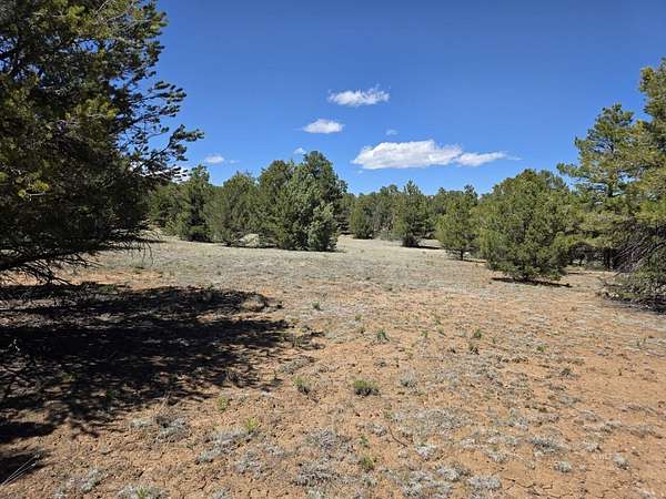 4.77 Acres of Residential Land for Sale in Cotopaxi, Colorado