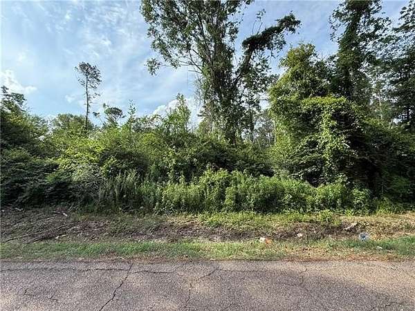60.4 Acres of Recreational Land for Sale in Roseland, Louisiana