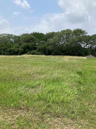 1 Acre of Land for Sale in Blessing, Texas