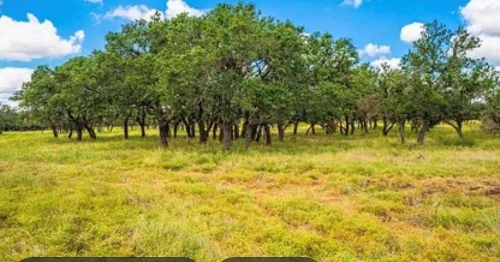 18.4 Acres of Land for Sale in Harper, Texas