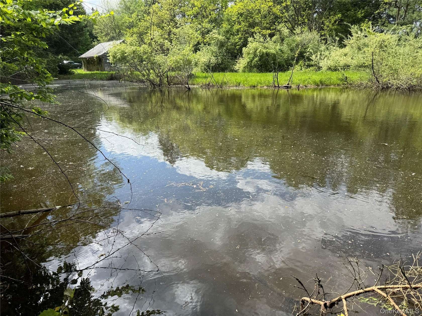 79 Acres of Recreational & Residential Land for Sale in Cochecton, New York