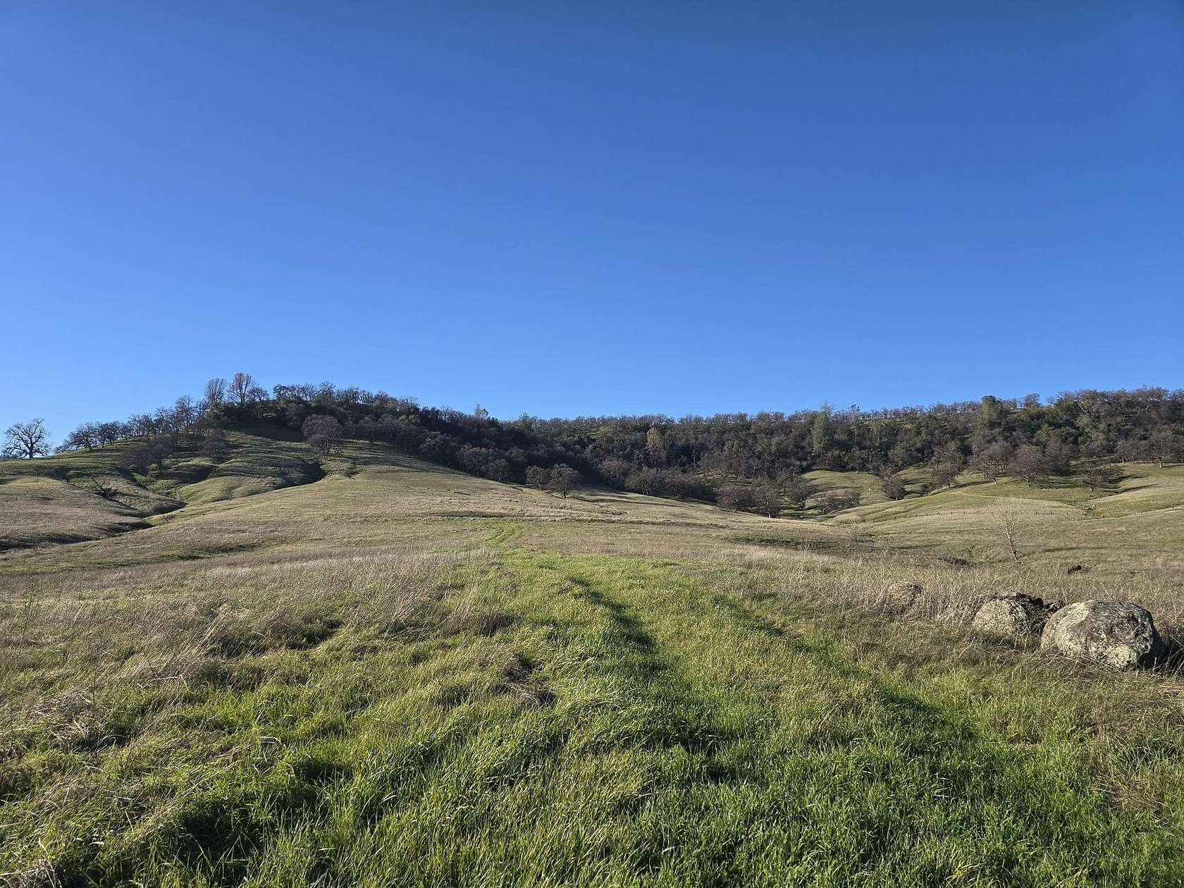 40 Acres of Land for Sale in Oak Run, California