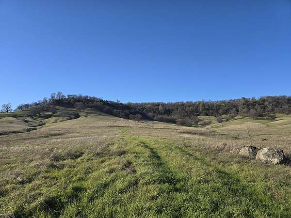 40 Acres of Land for Sale in Oak Run, California