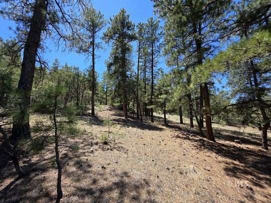 5.28 Acres of Residential Land for Sale in Texas Creek, Colorado