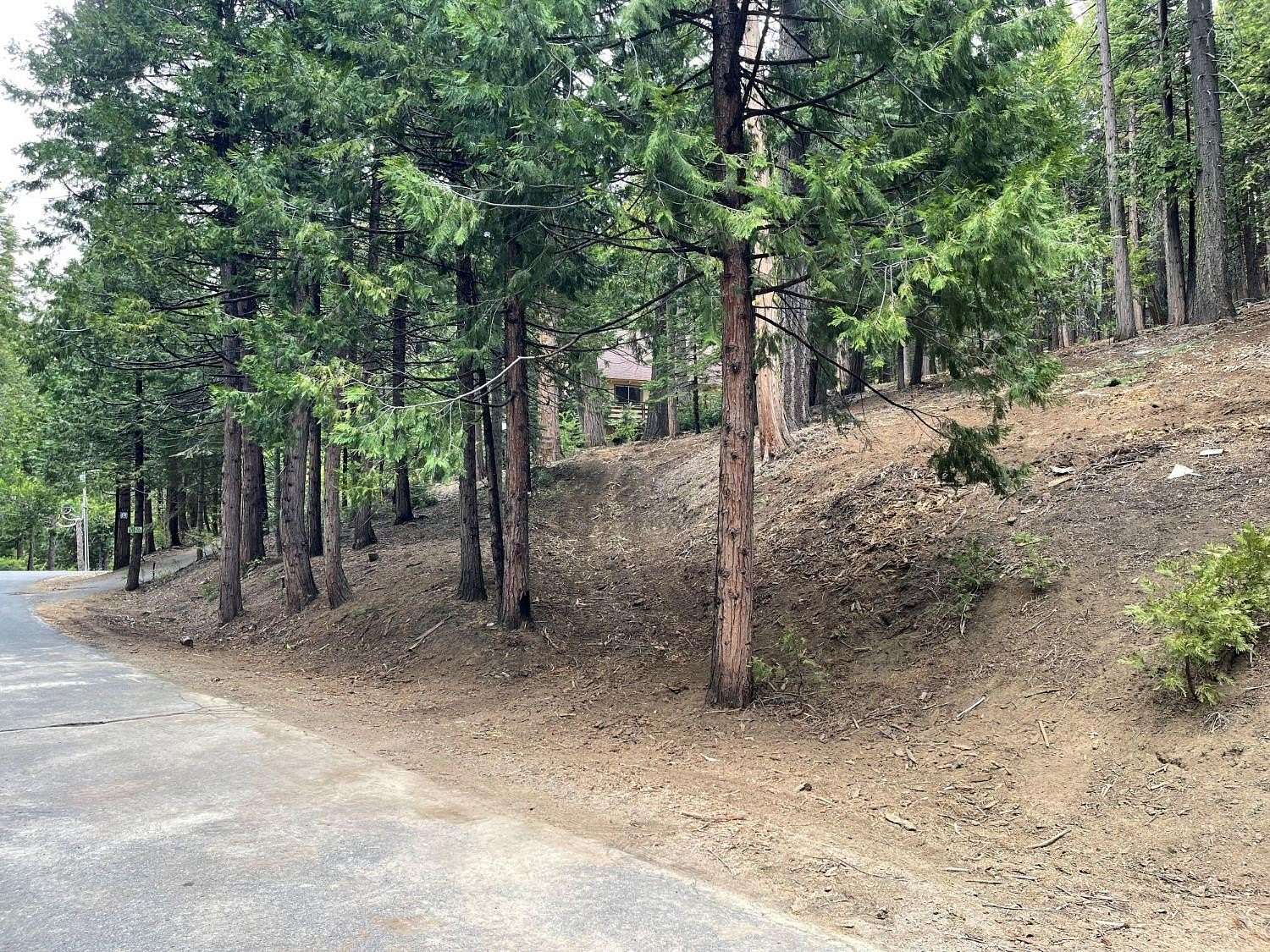 0.47 Acres of Residential Land for Sale in Camp Connell, California