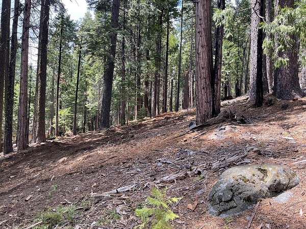 0.42 Acres of Residential Land for Sale in Camp Connell, California