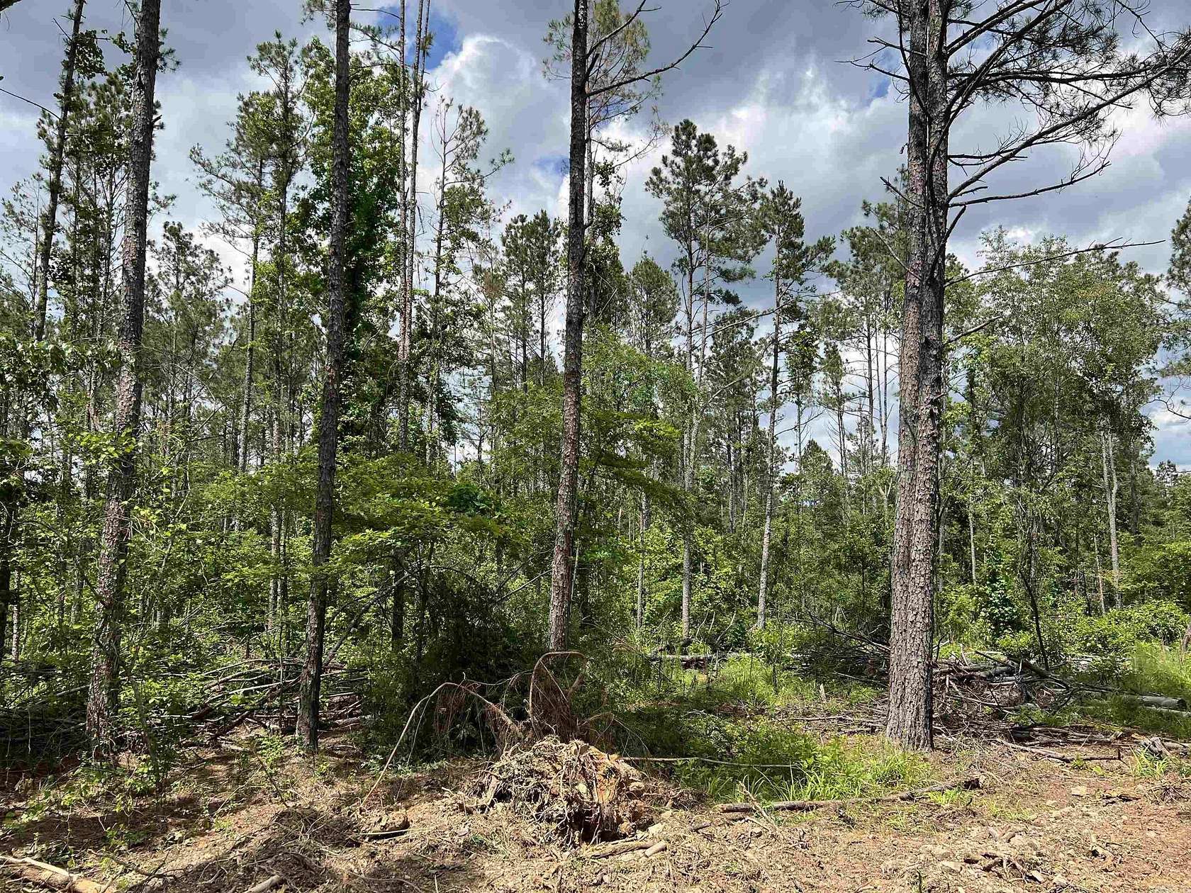 4.25 Acres of Residential Land for Sale in Amity, Arkansas