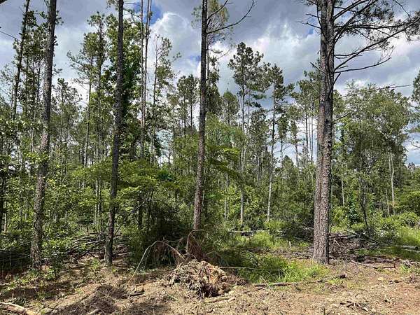 4.25 Acres of Residential Land for Sale in Amity, Arkansas