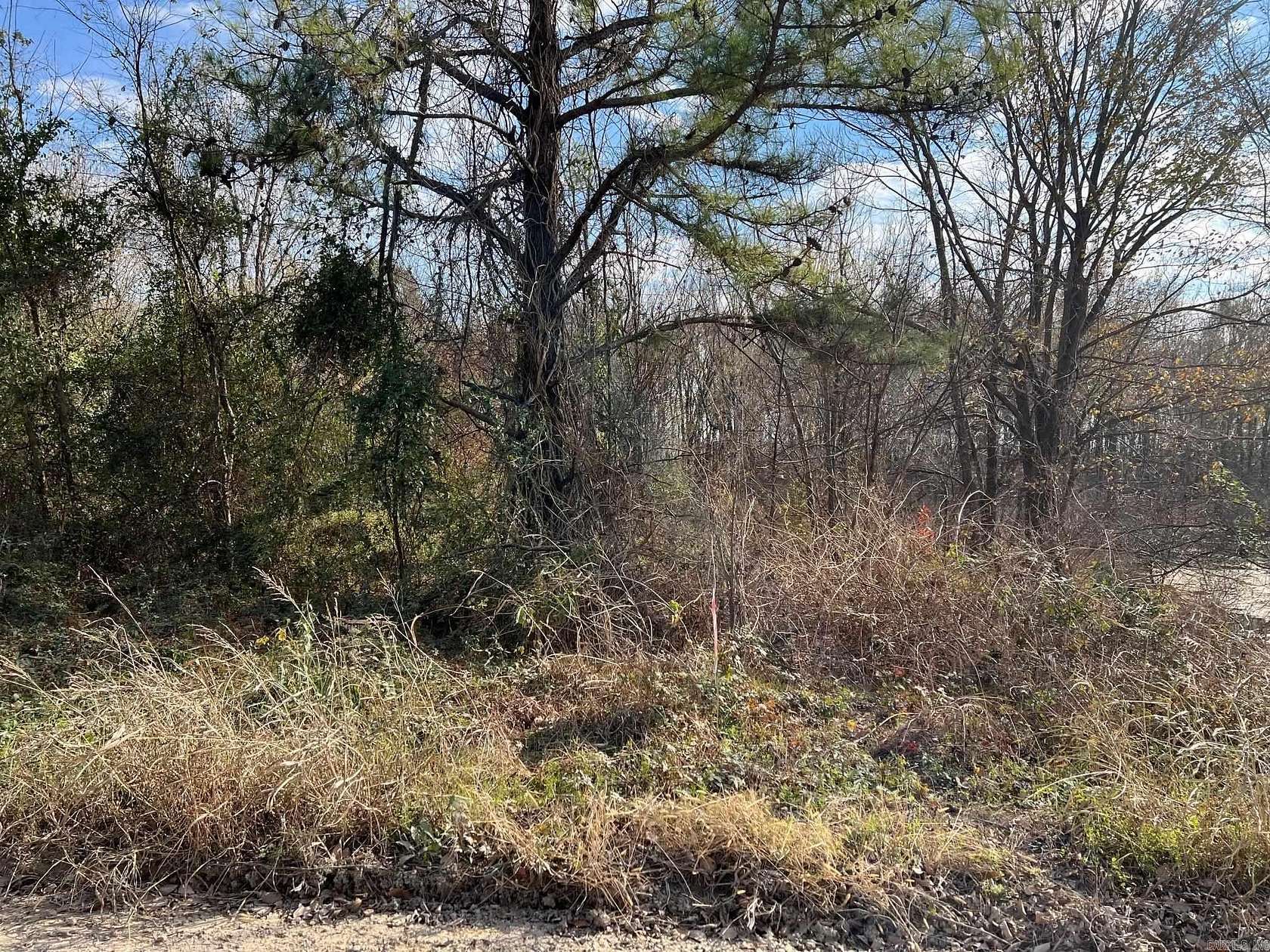 9.5 Acres of Land for Sale in Manila, Arkansas