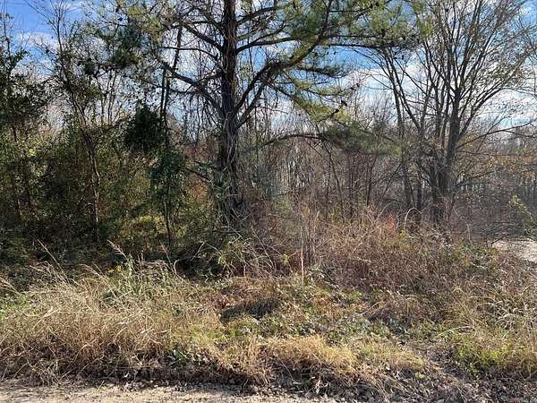 9.5 Acres of Land for Sale in Manila, Arkansas