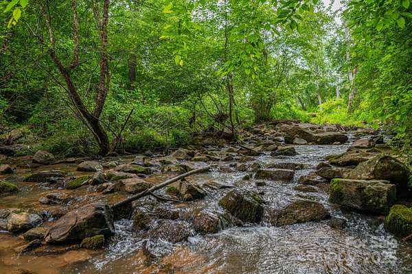 62.6 Acres of Recreational Land for Sale in Vale, North Carolina