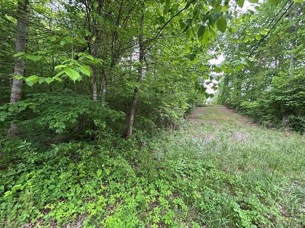 3.27 Acres of Residential Land for Sale in Jamestown, Tennessee