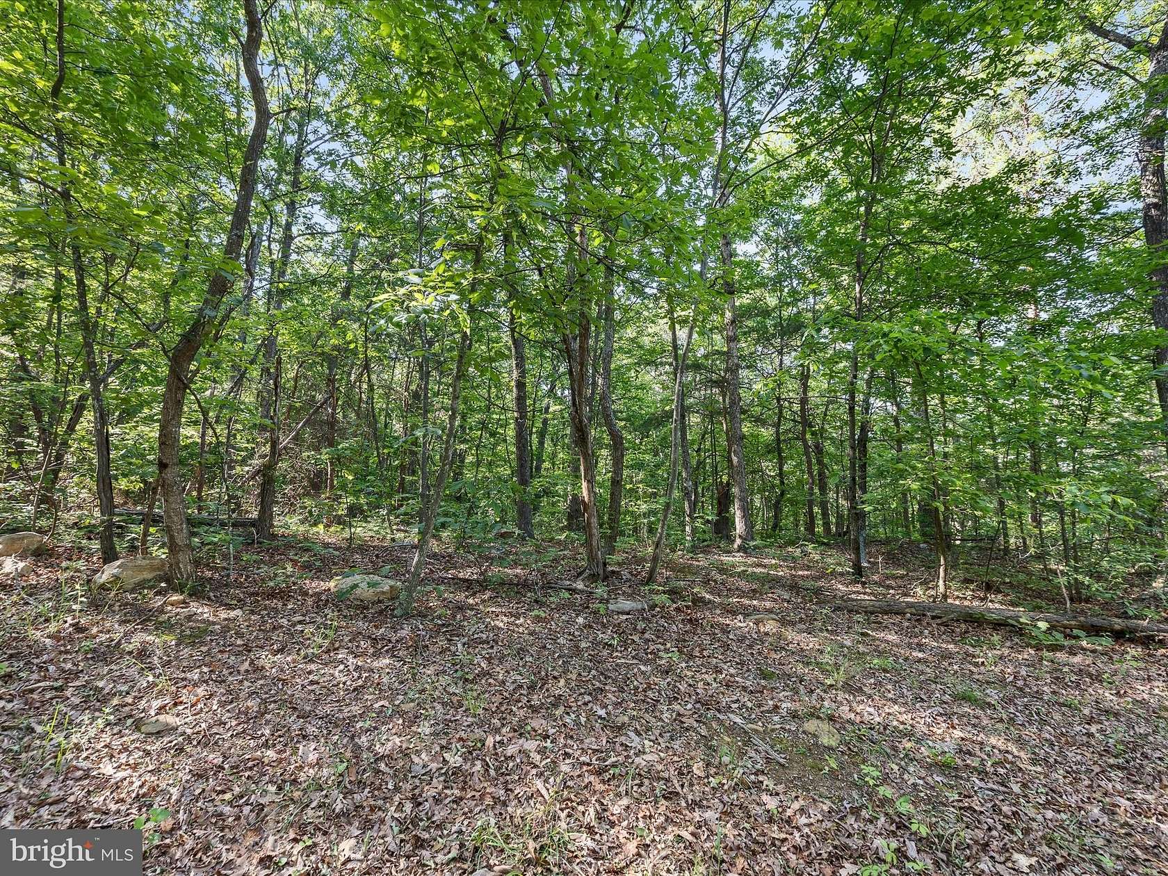 12.4 Acres of Recreational Land for Sale in Mount Jackson, Virginia