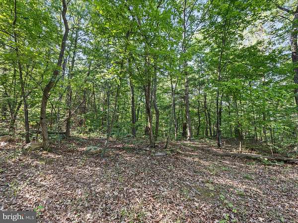 12.4 Acres of Recreational Land for Sale in Mount Jackson, Virginia