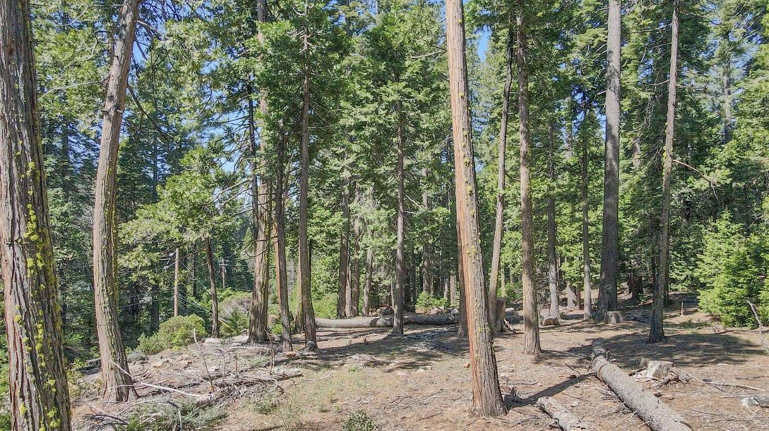 1 Acre of Residential Land for Sale in Camp Connell, California