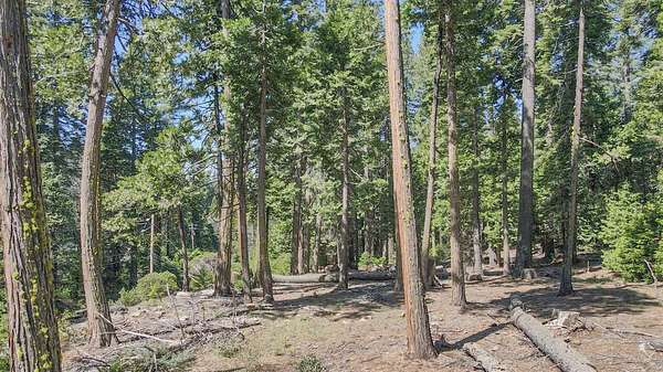 1 Acre of Residential Land for Sale in Camp Connell, California