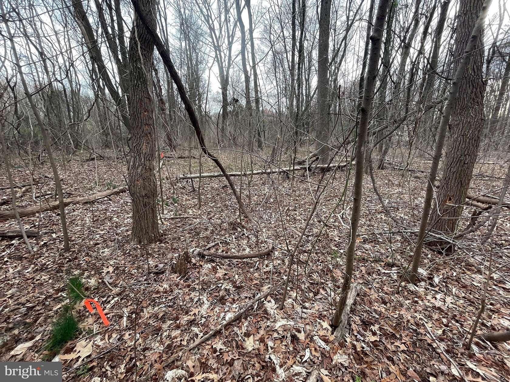 3 Acres of Land for Sale in Chestertown, Maryland