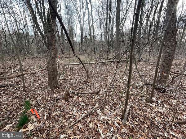 3 Acres of Land for Sale in Chestertown, Maryland