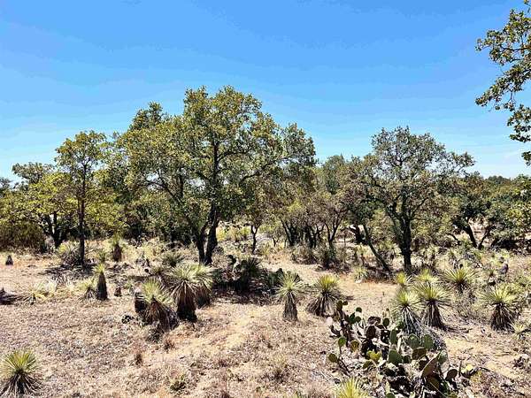 0.46 Acres of Land for Sale in Granite Shoals, Texas