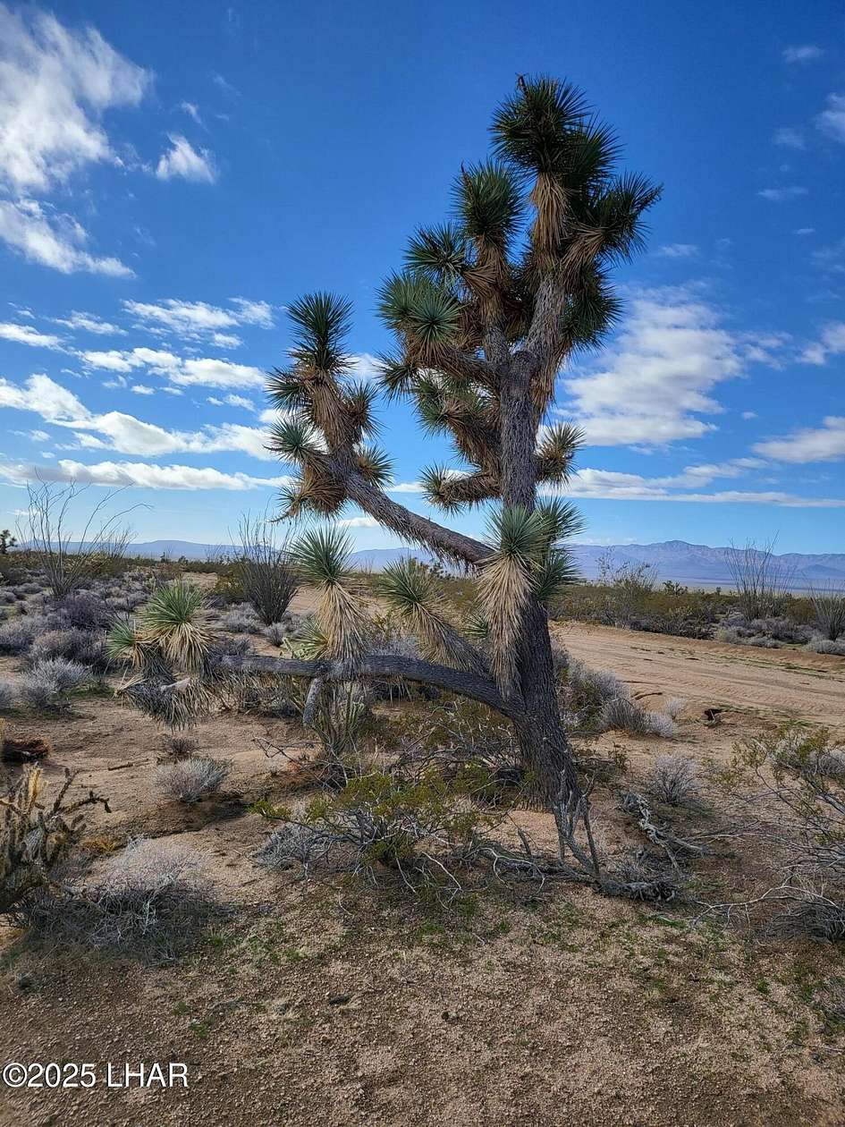 40 Acres of Recreational Land for Sale in Yucca, Arizona