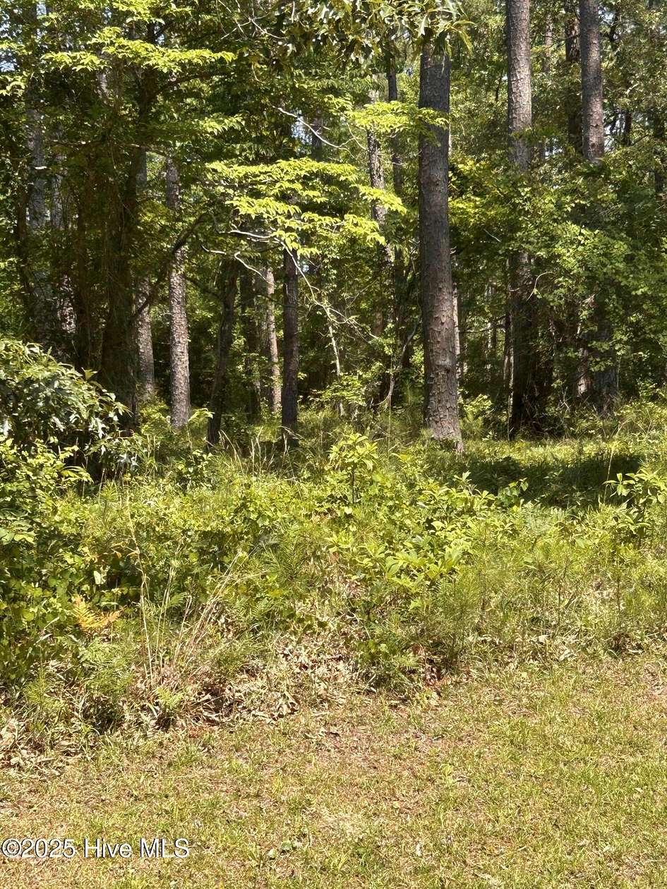 4.4 Acres of Residential Land for Sale in Beaufort Township, North Carolina