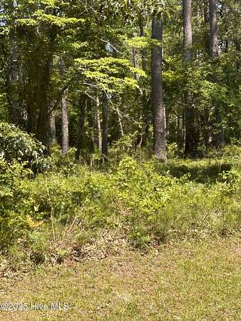 4.4 Acres of Residential Land for Sale in Beaufort Township, North Carolina