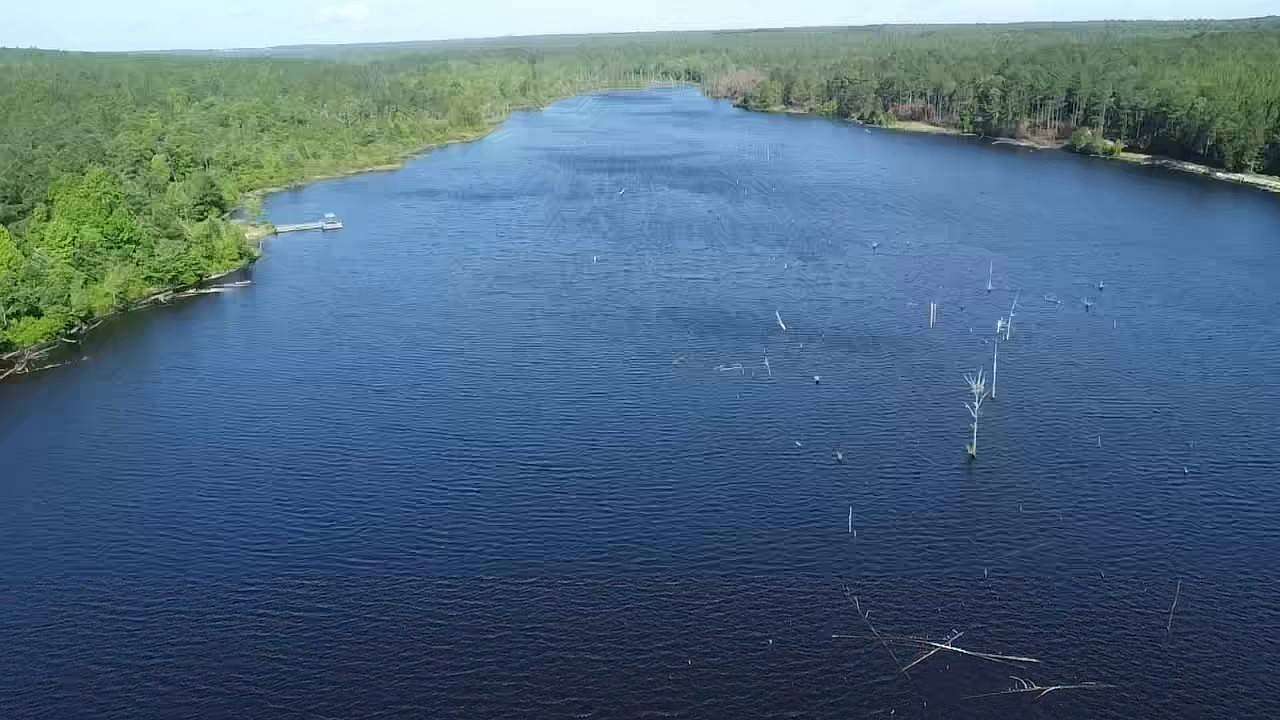 350 Acres of Recreational Land for Sale in Hartsville, South Carolina
