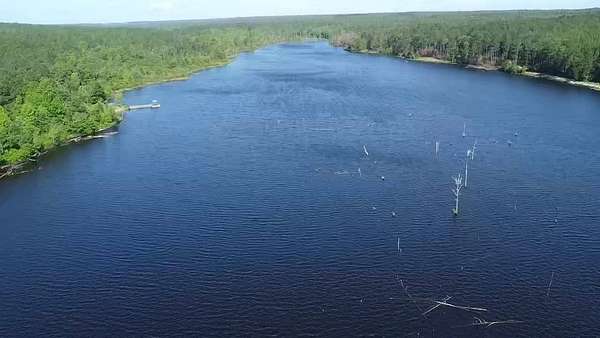 350 Acres of Recreational Land for Sale in Hartsville, South Carolina