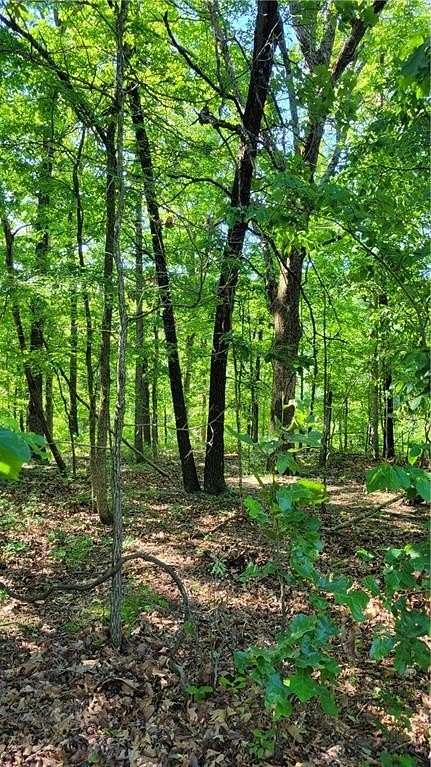 0.3 Acres of Residential Land for Sale in Bella Vista, Arkansas