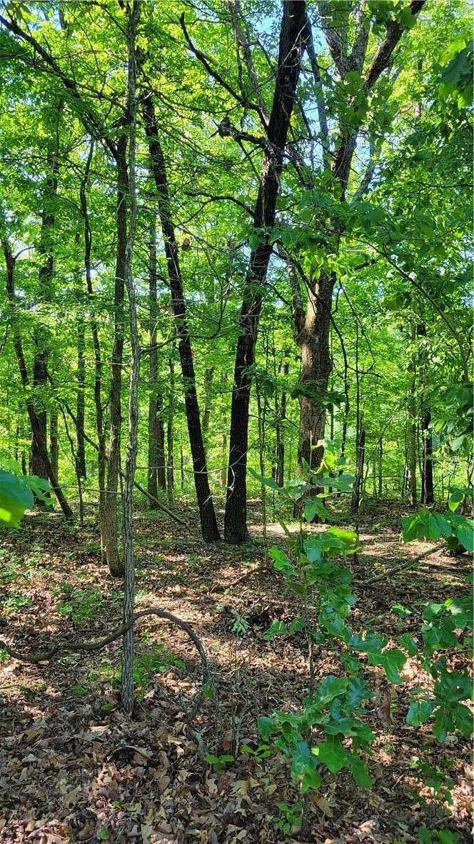 0.3 Acres of Residential Land for Sale in Bella Vista, Arkansas