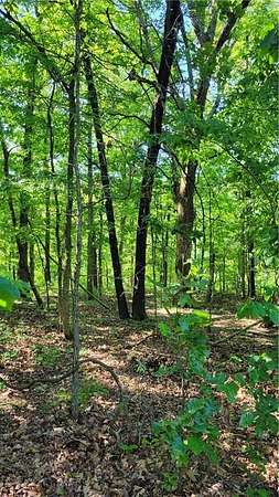 0.3 Acres of Residential Land for Sale in Bella Vista, Arkansas