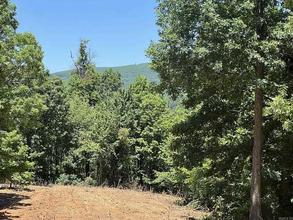 73.3 Acres of Recreational Land for Sale in Mena, Arkansas