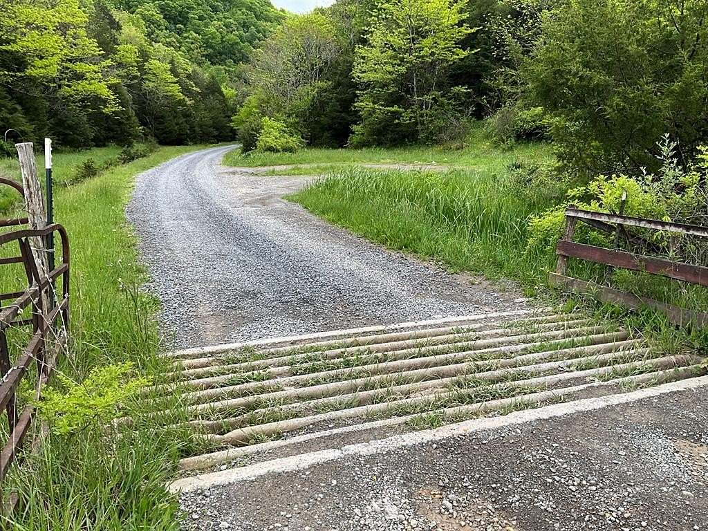 320 Acres of Recreational Land for Sale in Castlewood, Virginia