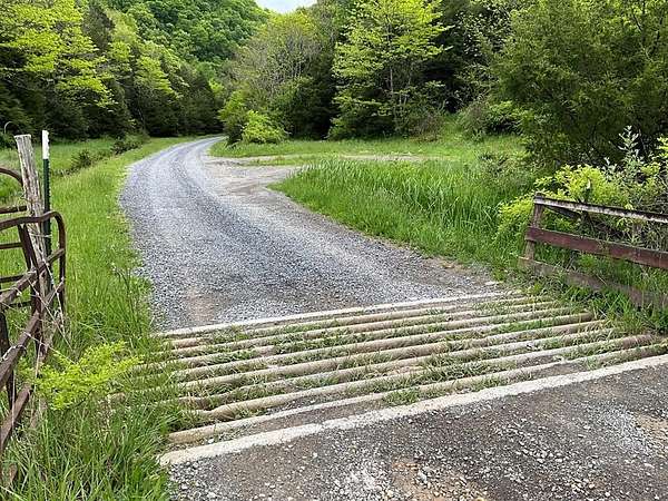 320 Acres of Recreational Land for Sale in Castlewood, Virginia