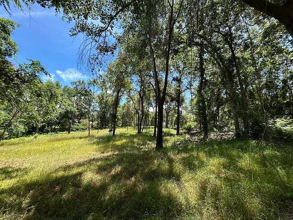 1 Acre of Land for Sale in Frankston, Texas