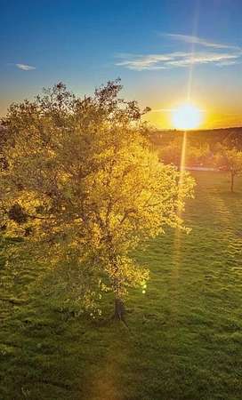 3.56 Acres of Residential Land for Sale in Weatherford, Texas