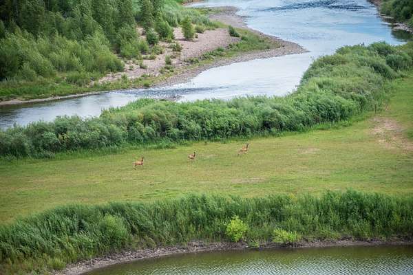 60 Acres of Recreational Land for Sale in Hayden, Colorado