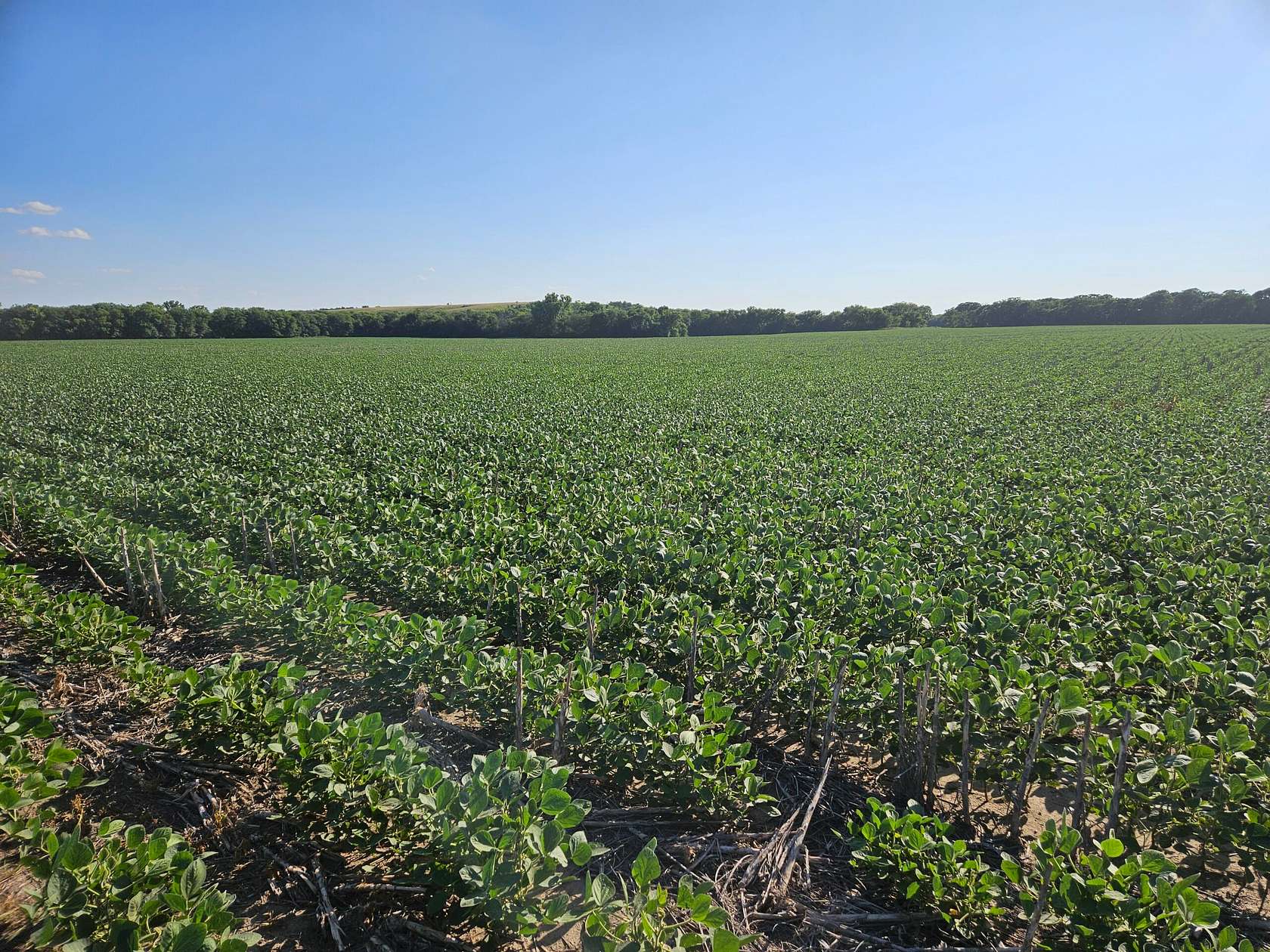 78 Acres of Recreational Land & Farm for Sale in Ellsworth, Kansas
