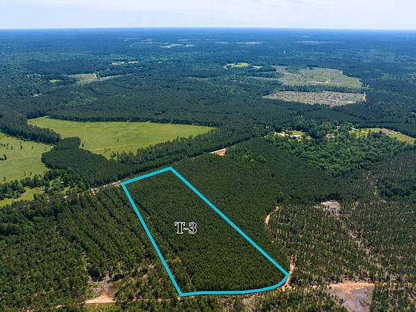 11 Acres of Recreational Land for Sale in Livingston, Texas