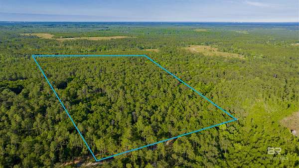 40 Acres of Recreational Land for Sale in Perdido, Alabama