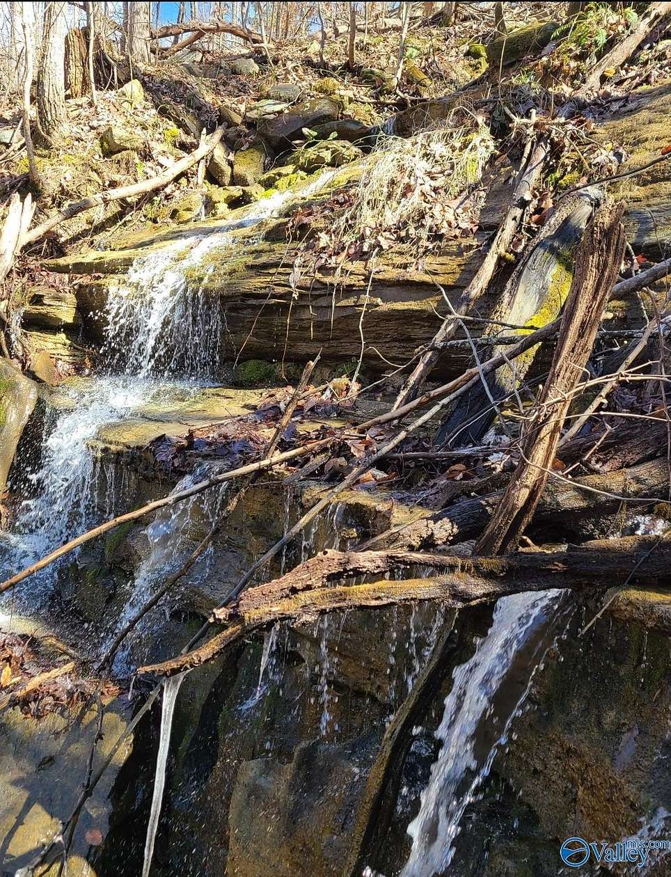 45.5 Acres of Recreational Land for Sale in Gurley, Alabama