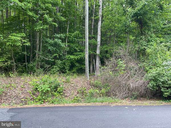 56 Acres of Recreational & Residential Land for Sale in Orange, Virginia