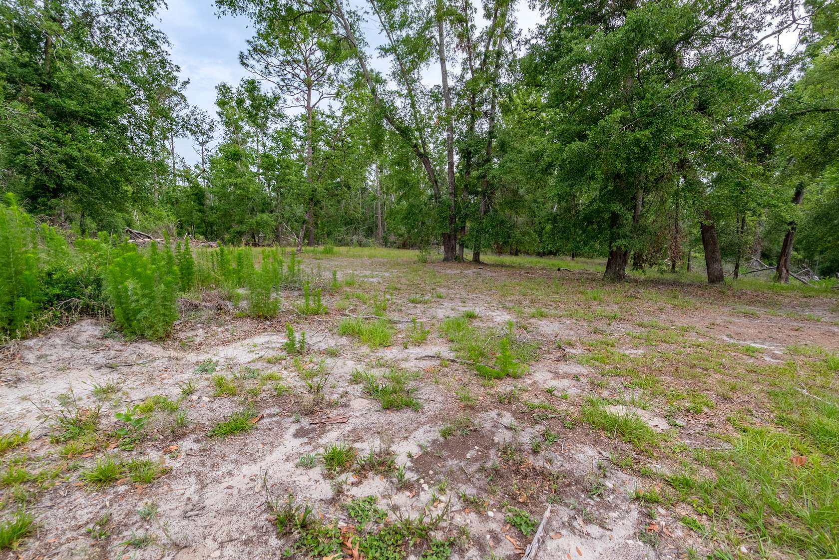9.6 Acres of Land for Sale in Live Oak, Florida