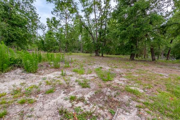 9.6 Acres of Land for Sale in Live Oak, Florida