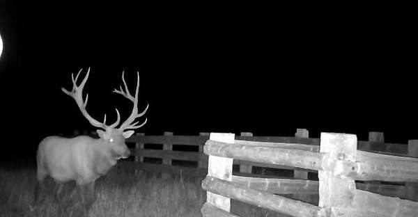 13,453 Acres of Improved Land for Sale in Custer, Montana